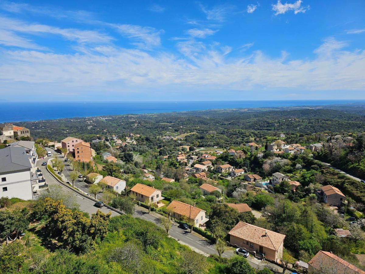 Palazzu Massoni, Magnifique Vue Sur La Mer Et La Montagne, Clim, Wifi, Parking Gratuit Cervione Exteriér fotografie
