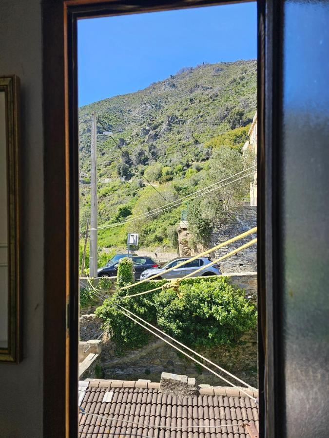 Palazzu Massoni, Magnifique Vue Sur La Mer Et La Montagne, Clim, Wifi, Parking Gratuit Cervione Exteriér fotografie